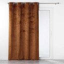 Brūns samta aizkars 140x240 cm Analia – douceur d'intérieur