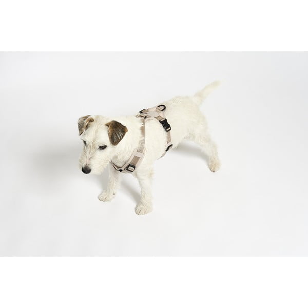 Bēša plecu siksna L garums 42 cm Modena Greige L – MiaCara-image-2