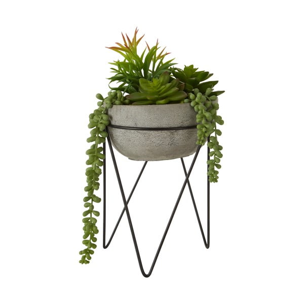 Mākslīgais sukulents (augstums 36 cm) Fiori – Premier Housewares-image-1