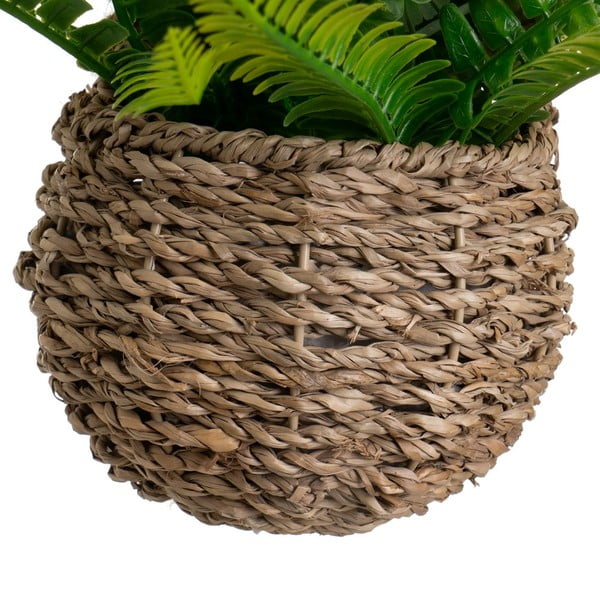 Mākslīgā paparde (augstums 25 cm) – Casa Selección-image-2