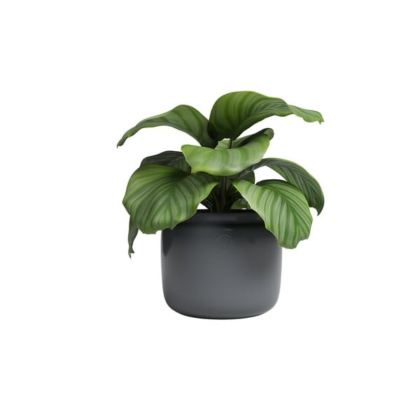 Keramikas ar rokām radīts puķu pods ø 20 cm Astrea – Artevasi-image-3