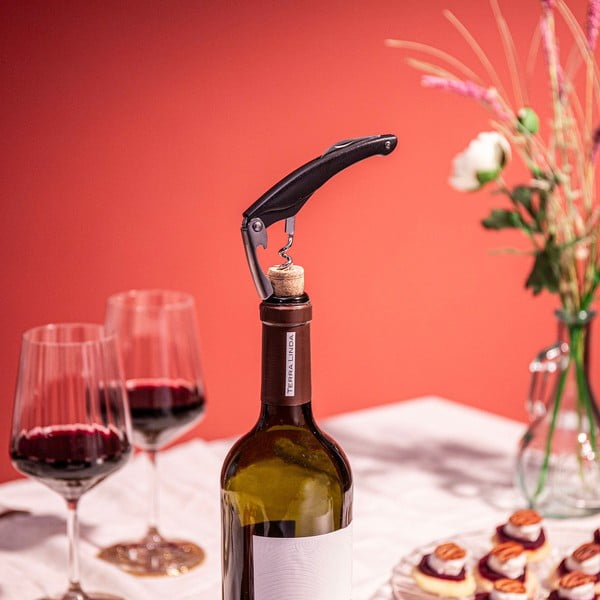 Tērauda korķviļķis – VacuVin-image-2