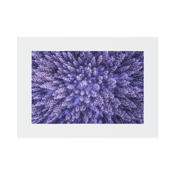Violets paklājs Oyo home Suzzo Flower, 140 x 220 cm-image-2