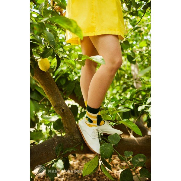 Zeķes Many Mornings The Lemons, izmērs 39-42-image-1