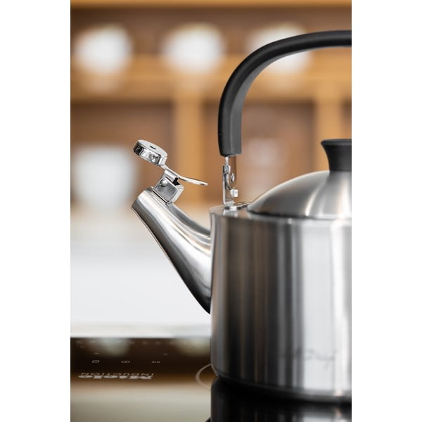 Matēta nerūsējošā tērauda tējkanna ar svilpi Vialli Design Diamante, 1,5 l-image-3