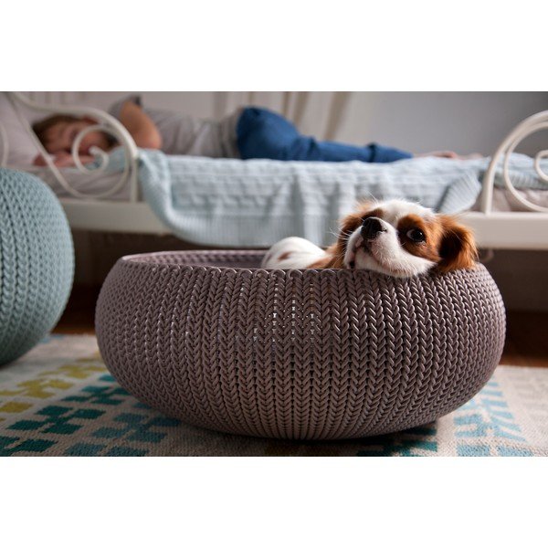 Brūna plastmasas kaķu gulta Curver Knit Bed-image-1