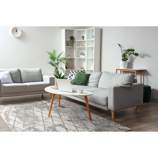 Pelēks paklājs 200x280 cm Sensi Gepi – FD-image-1