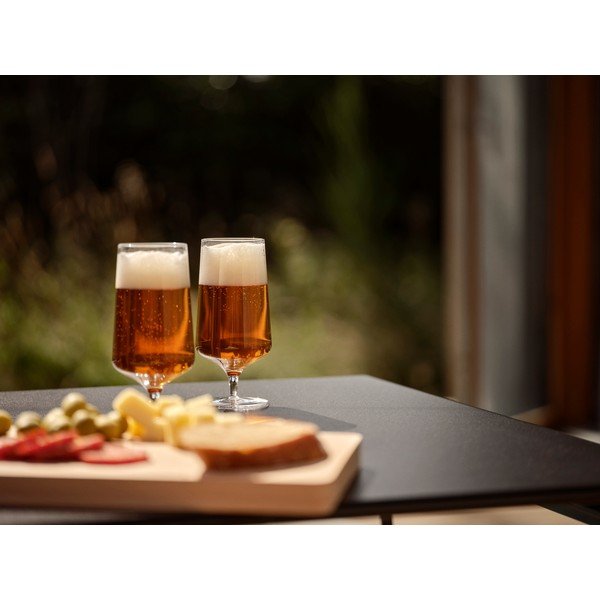 Alus glāzes (2 gab.) 300 ml Rocks – Zone-image-2