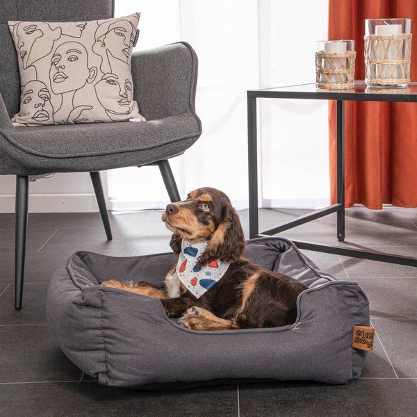 Zila gulta suņiem 50x55 cm – Love Story-image-1