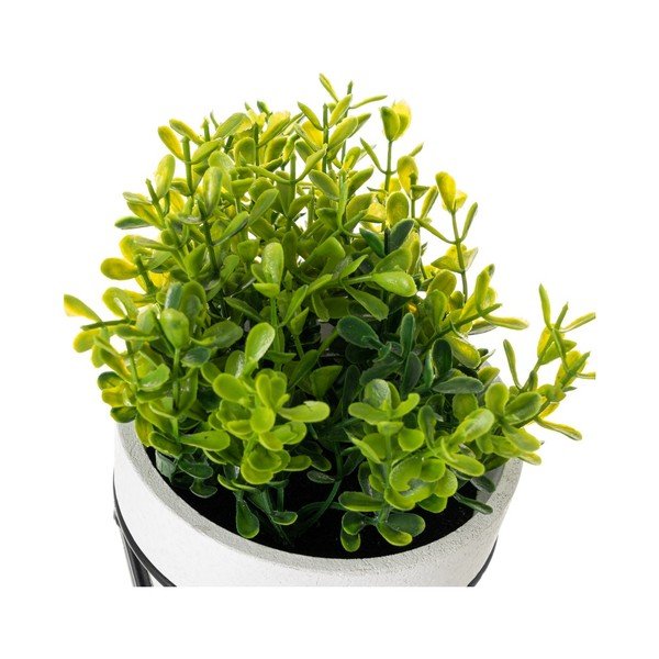 Mākslīgie augi (4 gab.) – Casa Selección-image-3