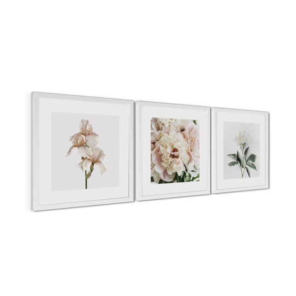 Drukātas gleznas (3 gab.) ar rāmi 30x30 cm Posy – Styler-image-4