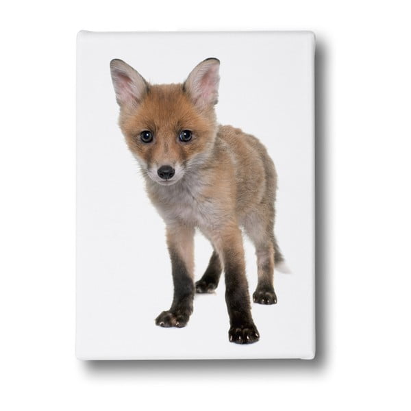 Attēls Mr Little Fox Little Fox