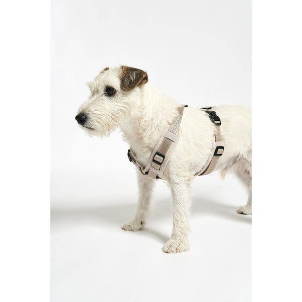 Bēša plecu siksna L garums 42 cm Modena Greige L – MiaCara-image-4