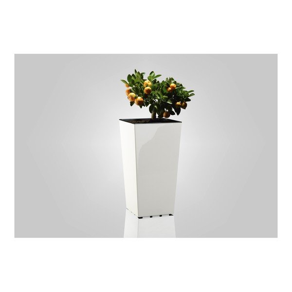 Plastmasas puķu pods Elise – Gardenico-image-1