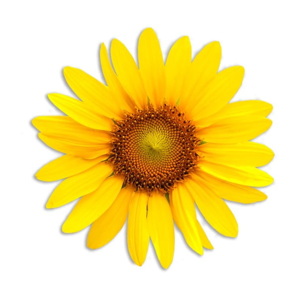 Dekoratīvs džutas galdauts Madre Selva Sunflower