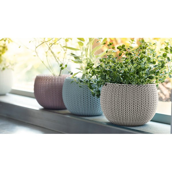 Plastmasas puķu podi (3 gab.) ø 15 cm Cozy – Keter-image-1