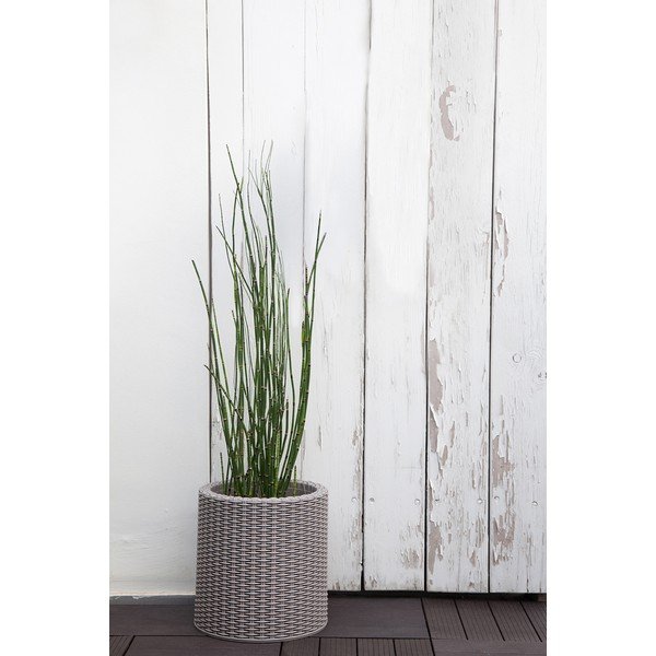 Plastmasas puķu pods ø 28 cm Cylinder – Keter-image-1