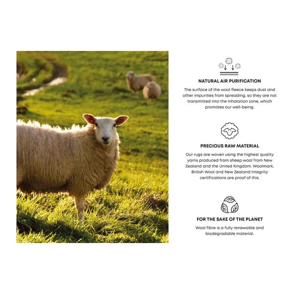 Gaiši pelēks vilnas paklājs 240x340 cm Talwin – Agnella-image-4