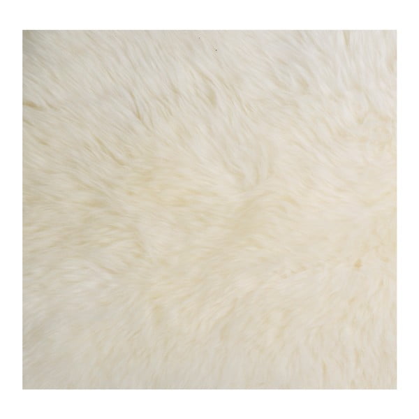 Balts aitādas holandietis Shaun-image-1