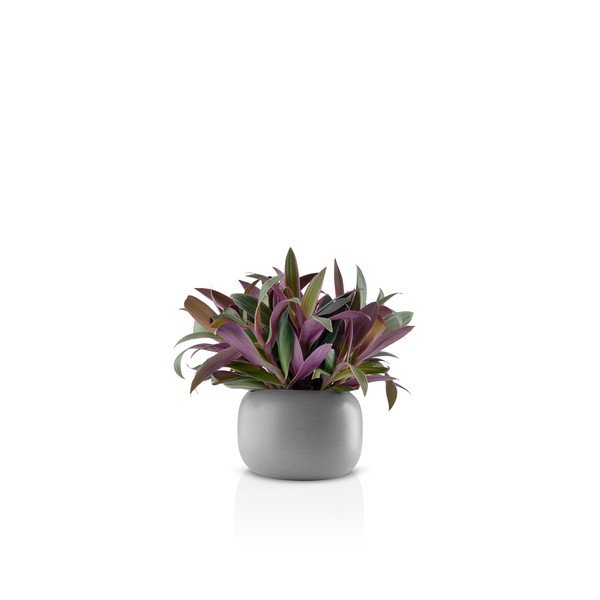 Pelēks keramikas puķupods Eva Solo Stone, Ø 16 cm-image-3