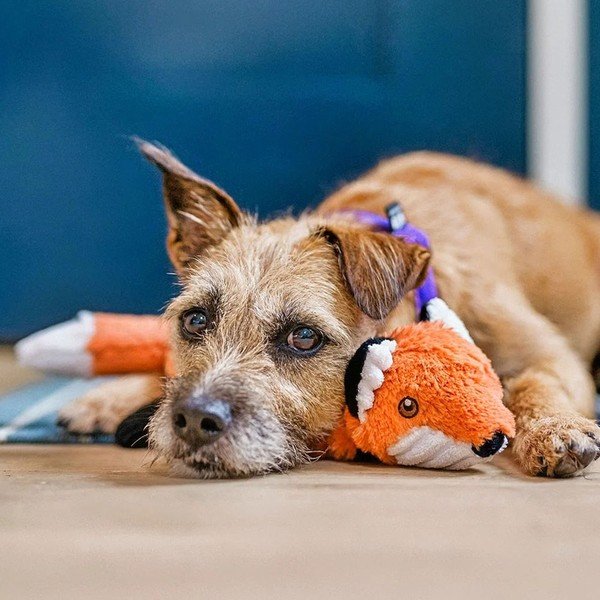 Rotaļlieta suņiem Lapsa – P.L.A.Y.-image-1