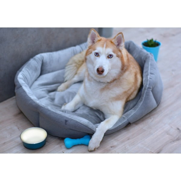 Pelēka vilnas gulta mājdzīvniekiem 90x70 cm Alík – Petsy-image-1