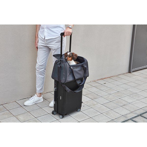 Pārvadāšanas soma suņiem 28x55 cm Volata Asphalt S/M – MiaCara-image-2