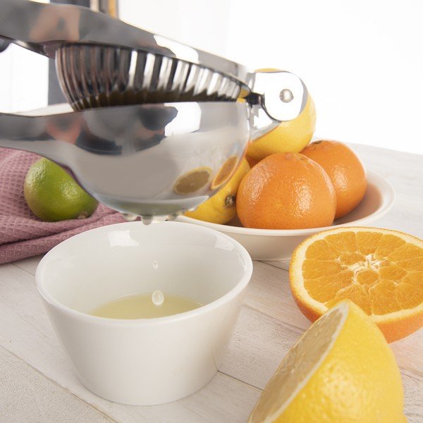 Metāla citrusaugļu prese – Orion-image-2