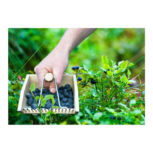 Melleņu ķemmēšanas mašīna no dižskābarža Esschert Design Pond-image-2