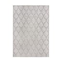 Ziloņkaula krāsas iekštelpu un āra paklājs 120x170 cm Elm Leaf – Flair Rugs