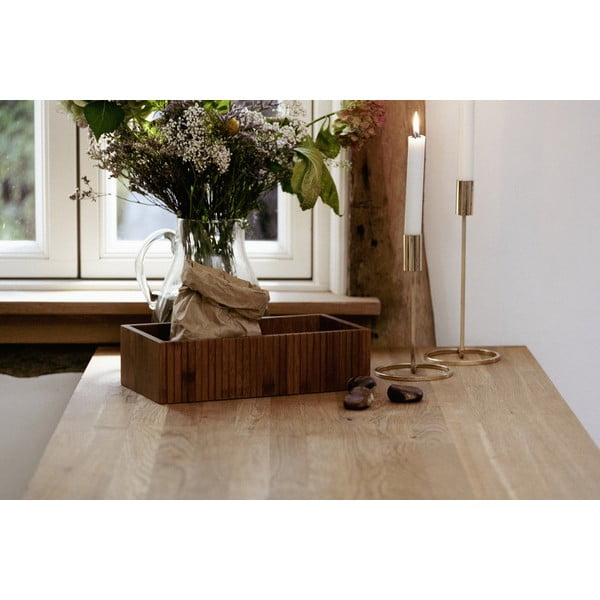 Dabīga toņa bambusa uzglabāšanas kaste 30x15x8 cm Mera – Wenko-image-2