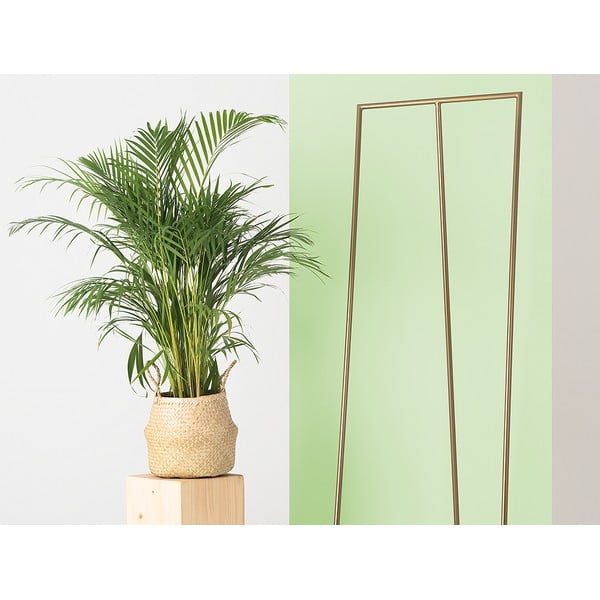 Metāla pakaramais zelta krāsā Zet – CustomForm-image-2