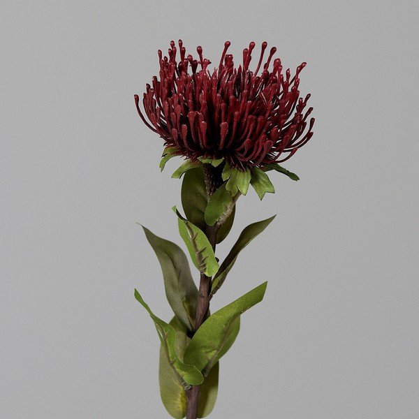 Mākslīgais augs (augstums 74 cm) Protea – Ego Dekor