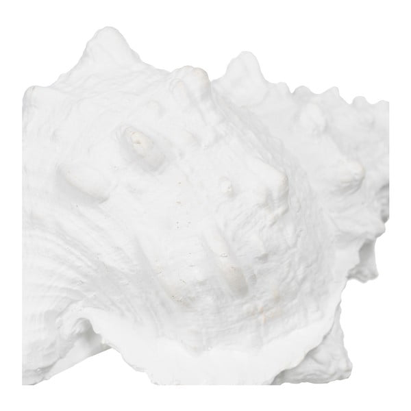 Polirezīna statuete (augstums 12 cm) Seashell – Ixia-image-1