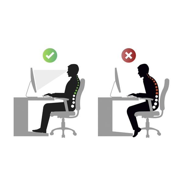 Muguras josta L/XL – Maximex-image-4