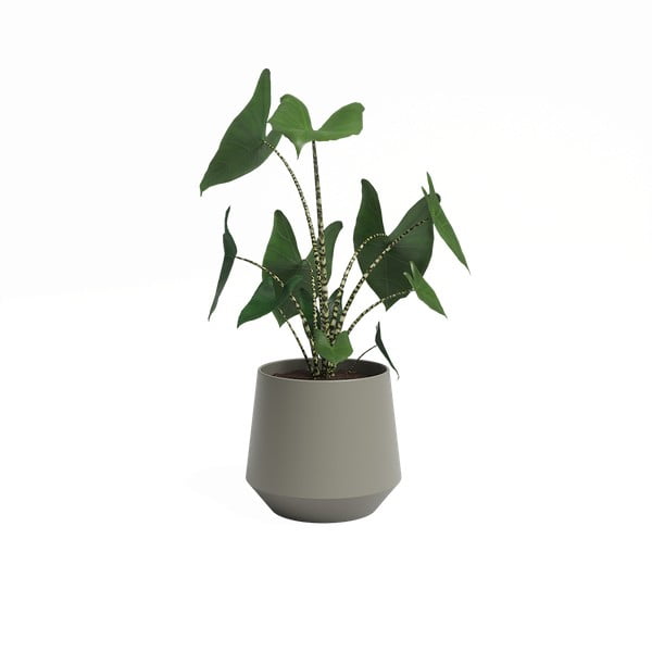 Keramikas puķu pods ø 17 cm Aurora – Artevasi-image-2