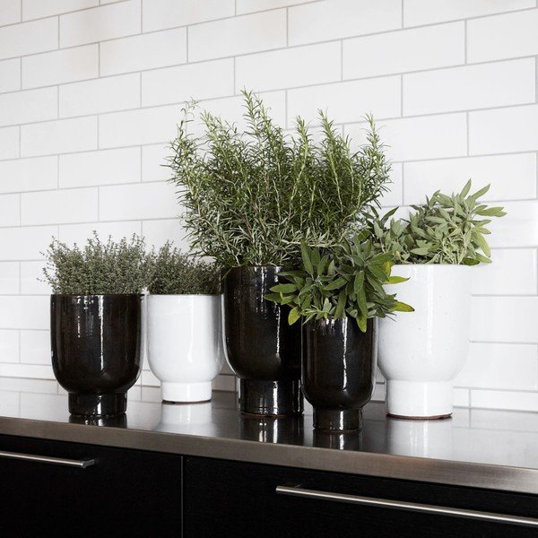 Black House ārsts Greenpoints Pot-image-1