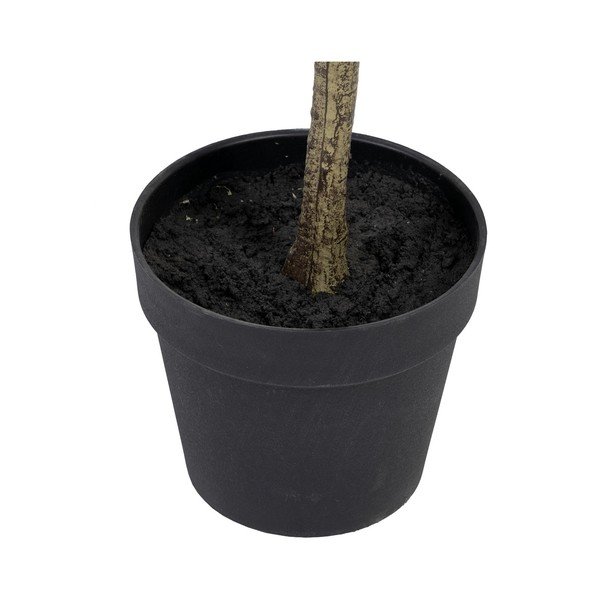 Mākslīgais eikalipts (augstums 180 cm) Eucalyptus – Ixia-image-3