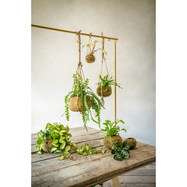 Puķu pods ø 14,5 cm Kokedama – Esschert Design-image-1