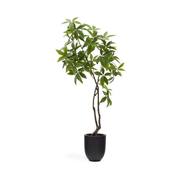 Mākslīgais augs (augstums 180 cm) Pachira – Kave Home