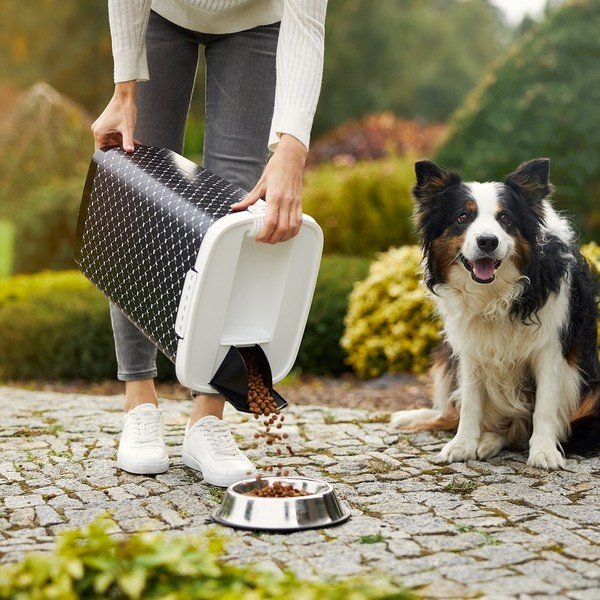 Melns dzīvnieku barības uzglabāšanas trauks 25 l Cody – Rotho-image-2