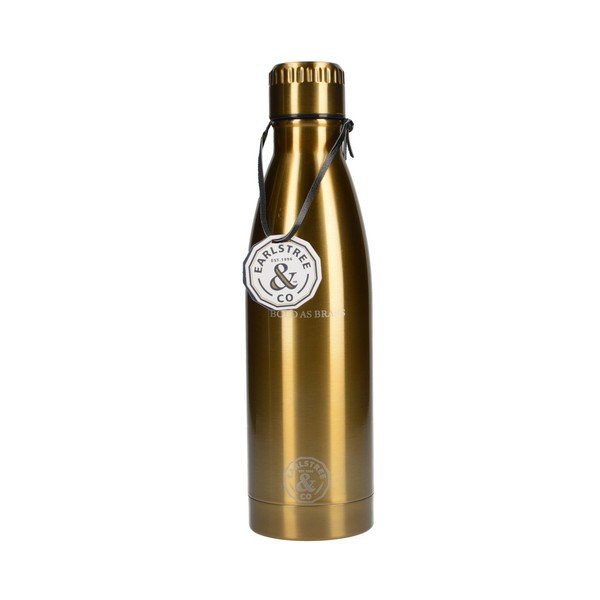 Nerūsējošā tērauda ceļojumu pudele Creative Tops Earlstree, 550 ml-image-1