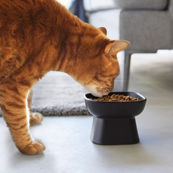 Keramikas bļodiņa mājdzīvniekiem Tower – YAMAZAKI-image-1