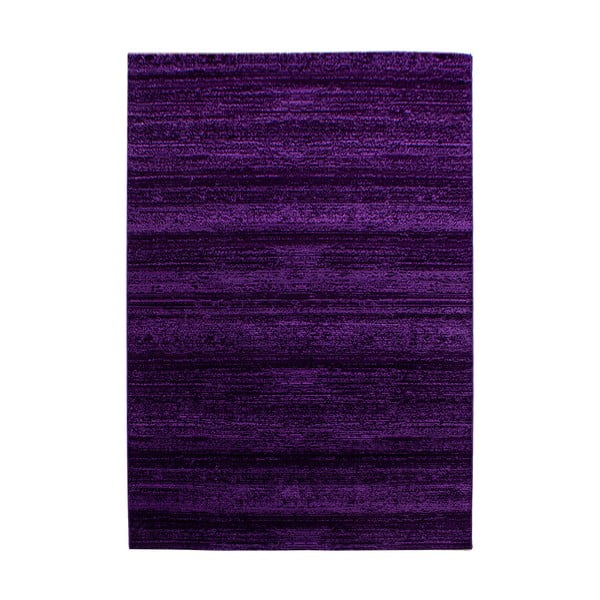 Tumši violets paklājs 140x200 cm Plus – Ayyildiz Carpets