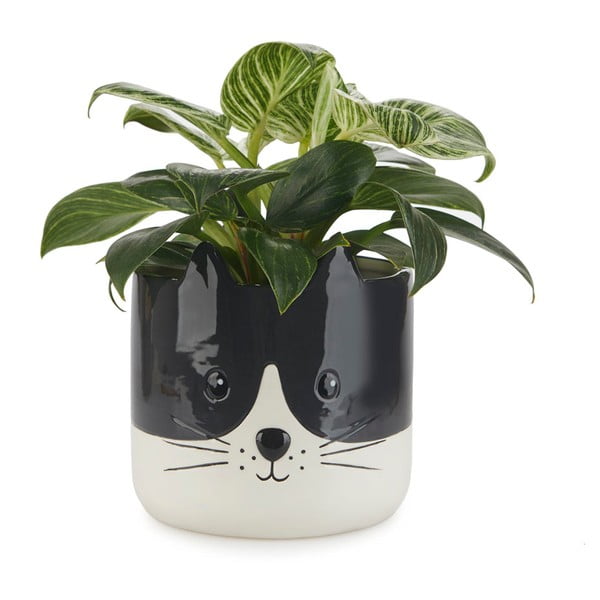 Keramikas puķu pods ø 13,5 cm Kitty – Balvi-image-1