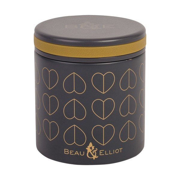 Pārtikas termoss Navigate Dove, 400 ml-image-1