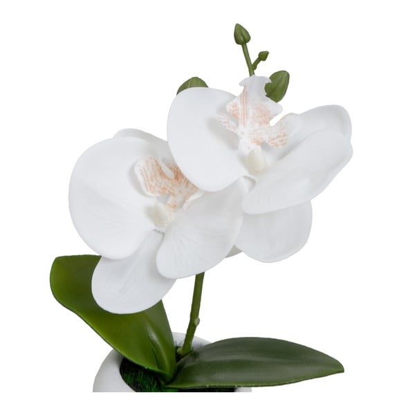 Mākslīgie augi (3 gab.) (augstums 15 cm) Orchid – Casa Selección-image-1
