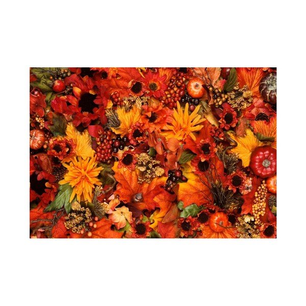 Paklājs Zerbelli Margo, 75 x 52 cm-image-3