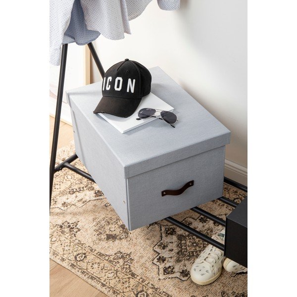 Kartona uzglabāšanas kaste ar vāku Tora – Bigso Box of Sweden-image-2
