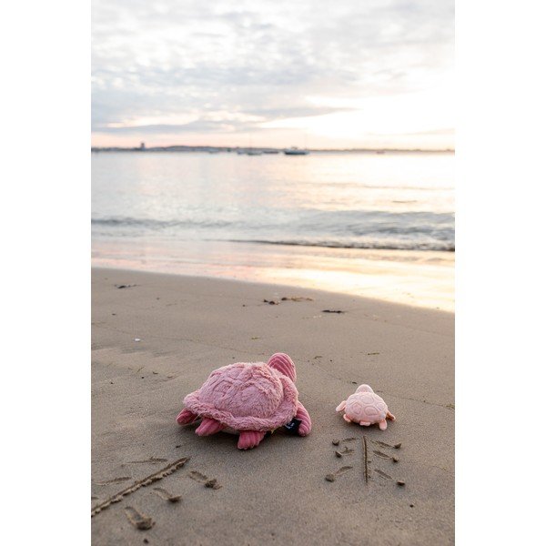 Plīša rotaļlietas (2 gab.) Ptipotos Savenou – Les Deglingos-image-2